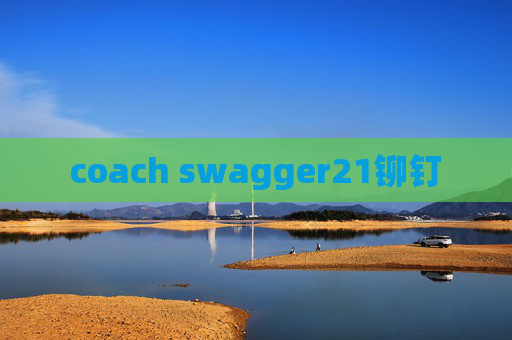 coach swagger21铆钉